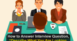 Describe What You Are Looking for in Your Next Job Best Answer