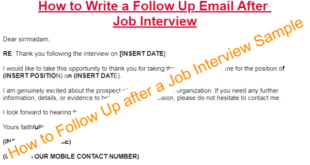 how to follow up after a job interview